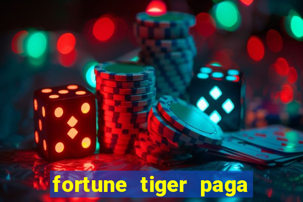 fortune tiger paga de madrugada